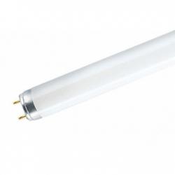 Люминесцентная лампа для гастрономии Т8 36 Вт   L36/77  G13 D26mm  1200 mm  OSRAM NATURA T8 36 Вт